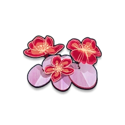 Begonia