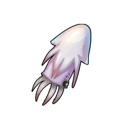 Squid Meat